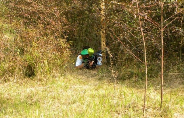  En el monle 